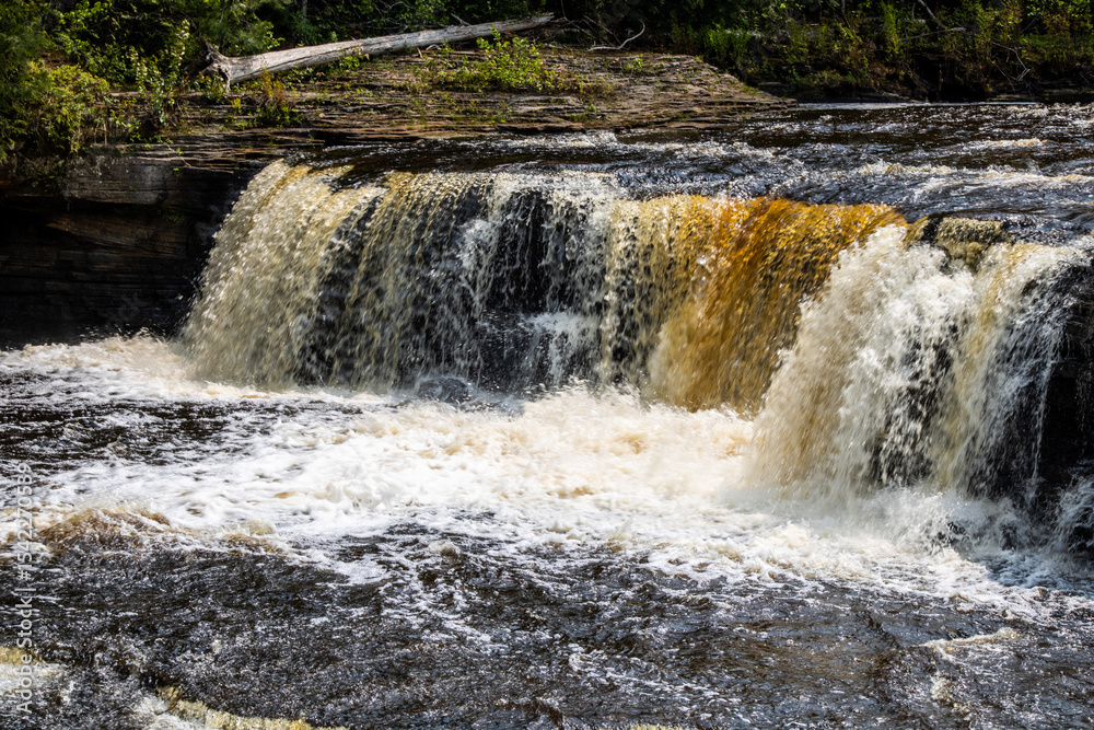 Obraz premium waterfall in the forest