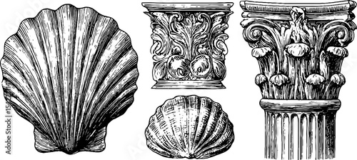 Baroque scalloped shell and islamic arabesque ornamental designs for decorative art