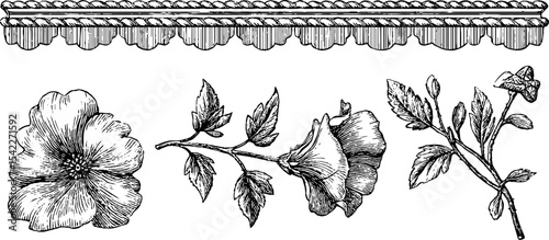 Elegant floral lace and braided cord design for fashion and textile crafts