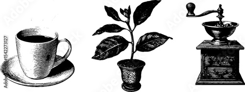 Coffee culture elements: cup, bean, and plant for cafe decor and design