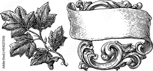 Ornate baroque corner volute with diamond frame design elements