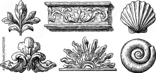 Ornamental design elements featuring crossed lines and horned scroll borders for decorative projects