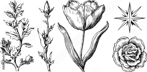 Elegant cross stitch design featuring tulip and rose patterns with laced edges