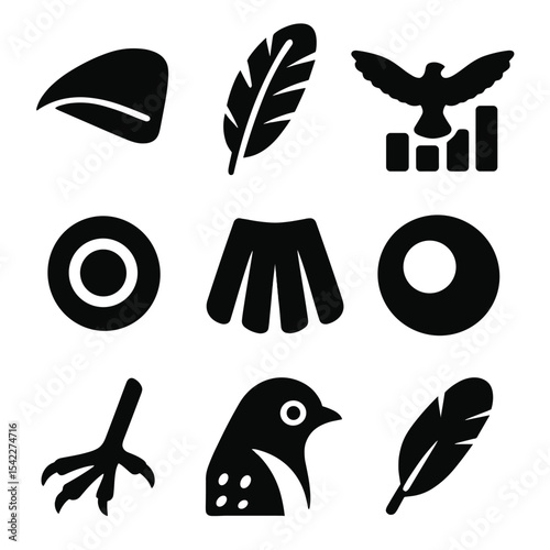Bird Identification Icons. Solid style icons of bird identification features: beak shape, feather pattern, wing span chart,