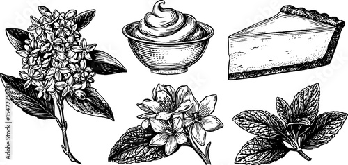 Elegant botanical desserts featuring elderflower sorbet and hibiscus tart for culinary inspiration
