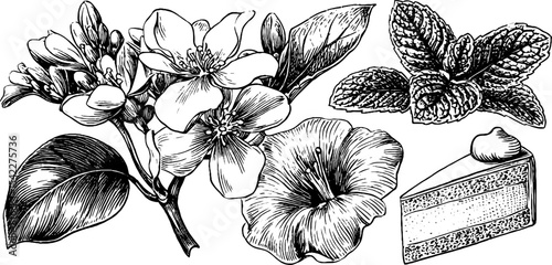 Botanical art of elderflower and hibiscus with culinary elements for gourmet inspiration