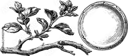 Engraved rune board and curled tree branch for mystical design and nature craft