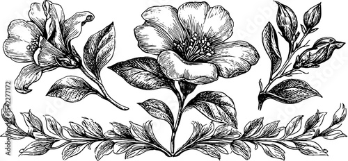 Elegant florentine border and crest design with floral elements for decorative use