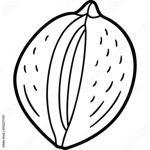 Line art drawing of a nut isolated on white background