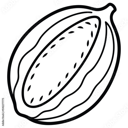 Line drawing of a papaya isolated on white background