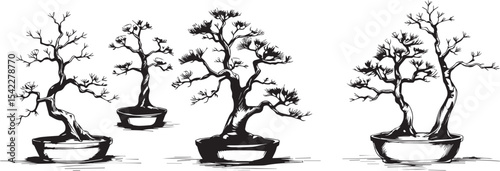 Decorative Bonsai Set. Hand drawn vector illustration