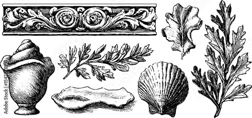 Classic ornamental design elements with geometric tile and border crests