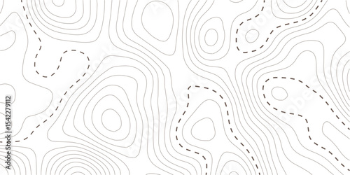 Topographic map background. Geographic line map with elevation assignments. Contour background geographic grid. Vector illustration