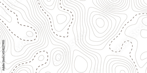 Topographic map background. Geographic line map with elevation assignments. Contour background geographic grid. Vector illustration
