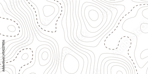 Topographic map background. Geographic line map with elevation assignments. Contour background geographic grid. Vector illustration