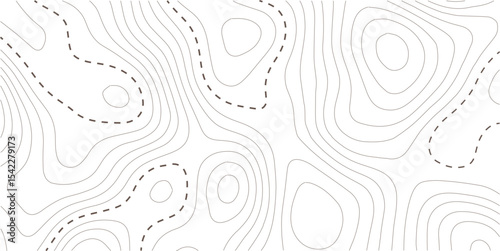 Topographic map background. Geographic line map with elevation assignments. Contour background geographic grid. Vector illustration