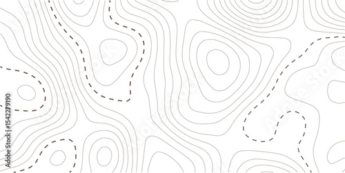 Topographic map background. Geographic line map with elevation assignments. Contour background geographic grid. Vector illustration