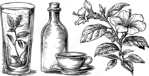 Refreshing rose lemonade and dried hibiscus botanical illustration for vintage beverage design