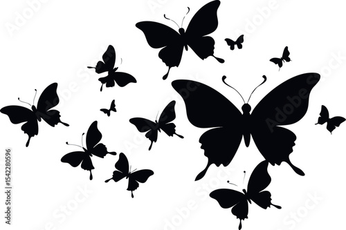 set of butterflies silhouette vector