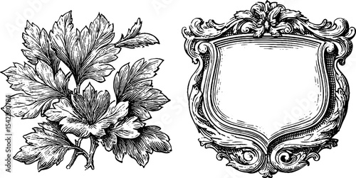 Elegant heraldic shield frame and twin rosette cart design for decorative and graphic art