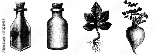 Herbal apothecary elements with vintage bottles and botanical illustrations for wellness design