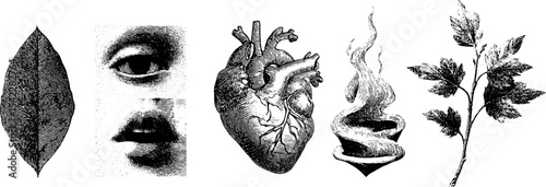 Intricate line art collection featuring human face elements, heart, leaves, and smoke