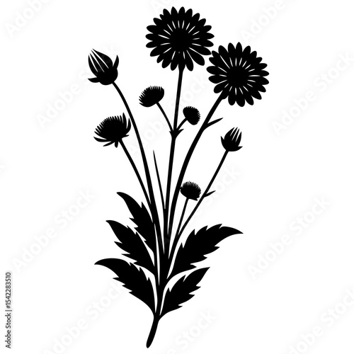 tree and wild flower silhouette on white background