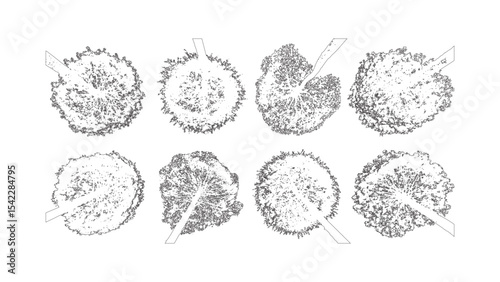 Tree Vector Design with Branches and Roots down view