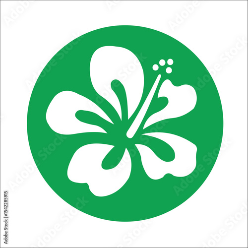 LOGOS SIGNOS LOGOTIPOS ISOTIPOS MARACA GRÁFICA HIBISCUS FLOR FLORES