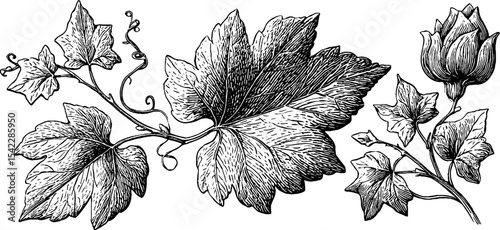 Intricate netted embroidery design with stylized ivy and leaves for textile pattern