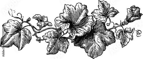 Elegant netted embroidery design with stylized ivy for decorative use
