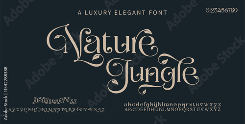 Beauty Luxury font alphabet logo. Typography beautiful fashion elegant classic letters serif italic fonts decorative wedding vintage retro logos. vector illustration