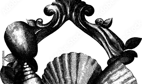 Ornate rococo frames and flourishes for elegant design projects