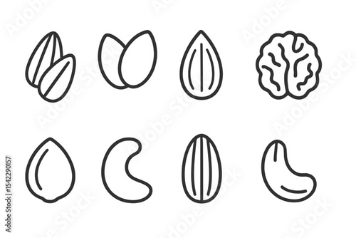 Line Style Nuts. Line style icons of seeds and nuts: sunflower seeds, pumpkin seeds, almond, walnut. hazelnut, cashew, pecan, pine