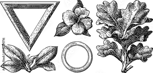 Geometric frames and botanical elements: triangle, square, circle, and floral designs for decoration