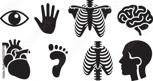 Eight Black Silhouettes of Human Anatomy Organs and Body Parts Eye Hand Ribcage Brain Heart Foot Lungs Head