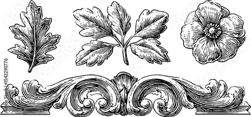 Ornamental design elements with spiked leaf patterns and chain band loop for creative projects