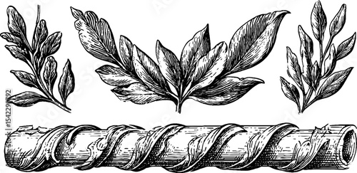 Vintage botanical and rope design: spiked leaf patterns with twisting chain motif