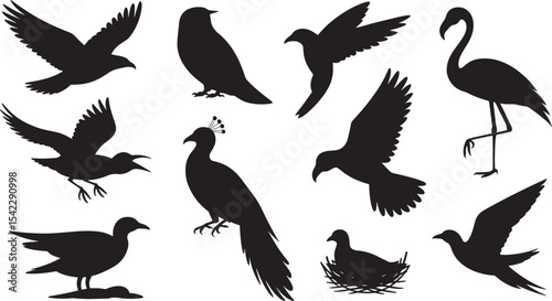 Ten Black Bird Silhouettes Vector Illustrations Flying Birds Peacock Flamingo Dove Pigeon
