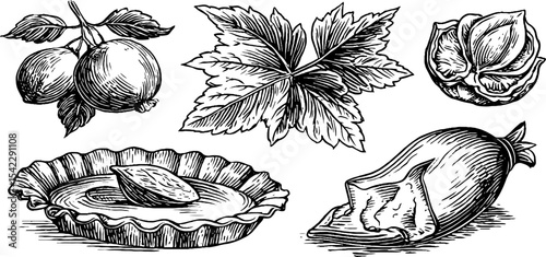 Gourmet delights: stuffed grape leaves and artisanal cheese with culinary illustrations