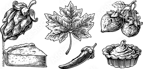 Rustic collection of stuffed grape leaves and soft cheese artistic design