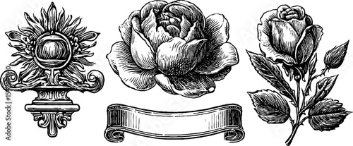 Vintage egyptian revival and floral motifs featuring sun and rose illustrations for design
