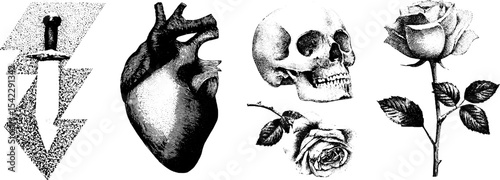 Vintage tattoo flash art collection featuring lightning, heart, skull, and rose designs