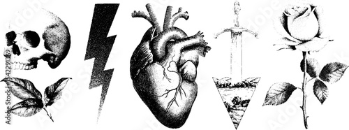 Vintage tattoo flash collection featuring skull, lightning, heart, sword, and rose for artistic inspiration