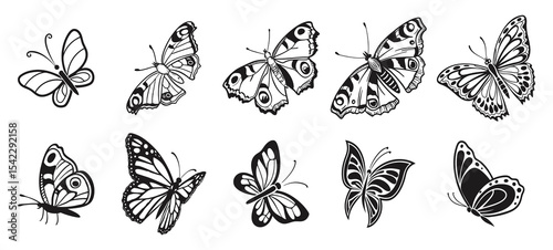 Collection of Black and White Butterfly Illustrations for Design