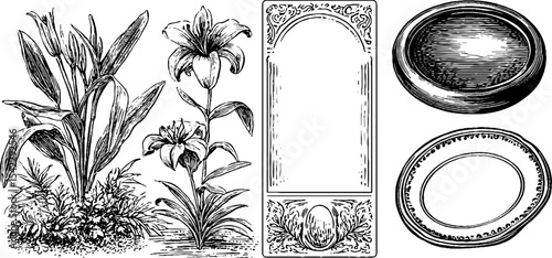 Vintage postage stamp edges and decorative frames collection for design projects