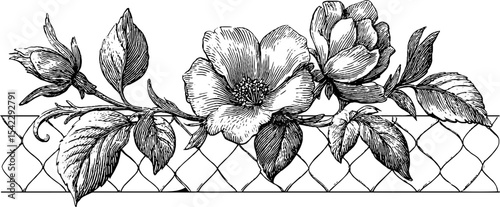 Ornate floral design with dotted rosette and woven fabric texture for print or card decoration