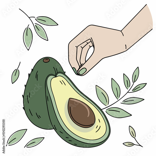An illustration of avocados, one whole and one halved, with a hand and leafy branches around it