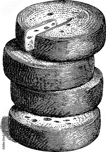Vintage engraved sliced cheese wheel design for culinary art and packaging