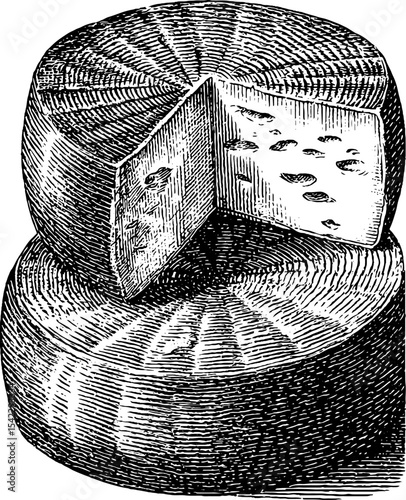 Vintage engraving style of sliced cheese wheel for antique culinary art design